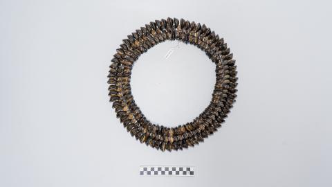 Primera imagen del registro Collar (accesorio de vestir)