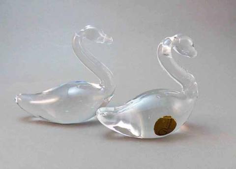 Primera imagen del registro Pareja de cisnes