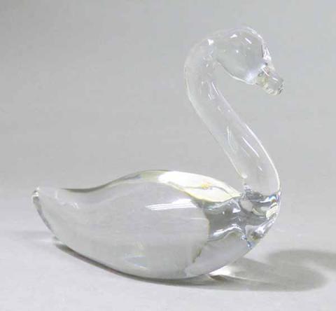 Primera imagen del registro Cisne
