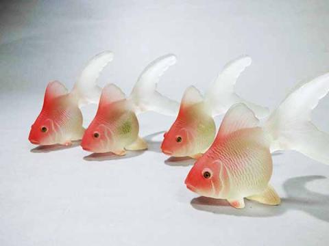 Primera imagen del registro Peces