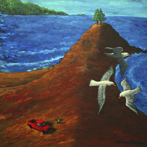Primera imagen del registro Desembocadura del Bío Bío