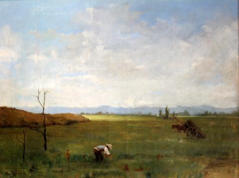 Primera imagen del registro Paisaje chileno