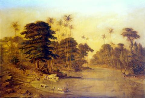 Primera imagen del registro Paisaje del Amazonas