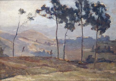 Primera imagen del registro Paisaje Sureño II (caserío)