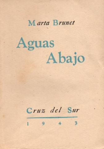 Primera imagen del registro Aguas abajo