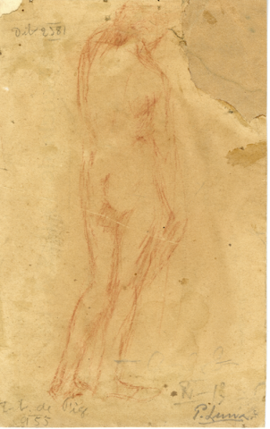 Primera imagen del registro Desnudo