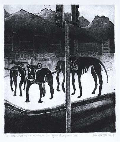 Primera imagen del registro Horizonte nocturno y proximidad canina