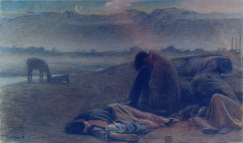 Primera imagen del registro Oscuro amanecer