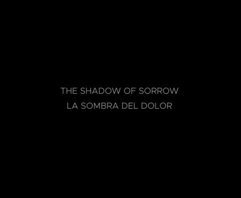 Primera imagen del registro The Shadow of Sorrow