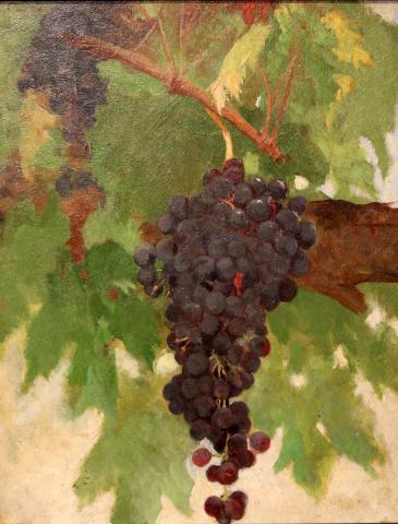 Primera imagen del registro Uvas