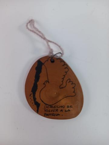 Primera imagen del registro