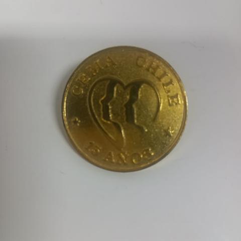 Primera imagen del registro 15 Años de CEMA Chile