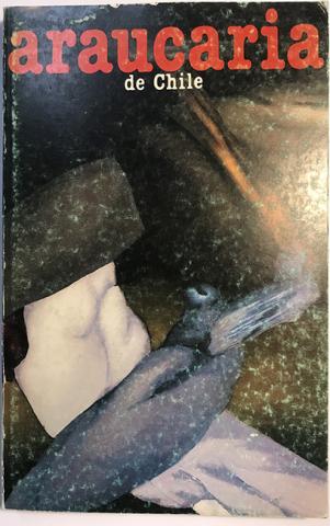 Primera imagen del registro Araucaria de Chile n°13-1981