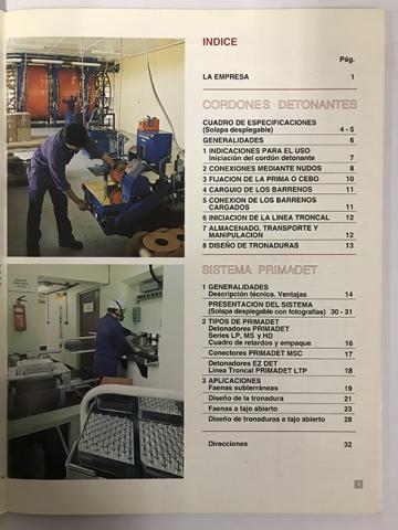 Primera imagen del registro Manual de Detonantes