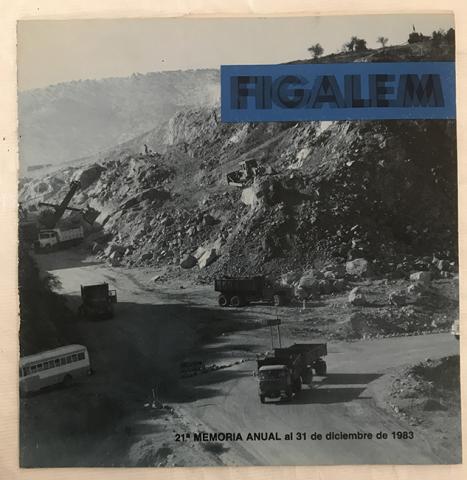 Primera imagen del registro 21a. Memoria Figalem