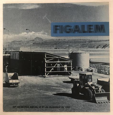 Primera imagen del registro 20a. Memoria Figalem