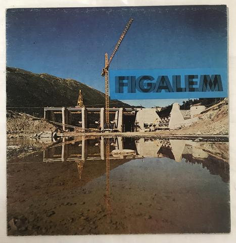 Primera imagen del registro 17a. Memoria Figalem