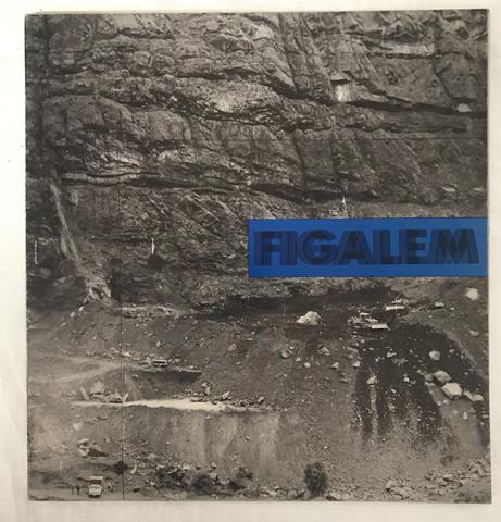 Primera imagen del registro 15a. Memoria Figalem
