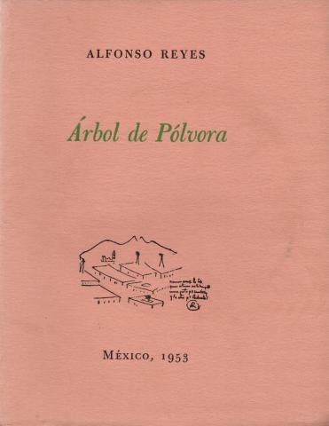 Primera imagen del registro Árbol de Pólvora
