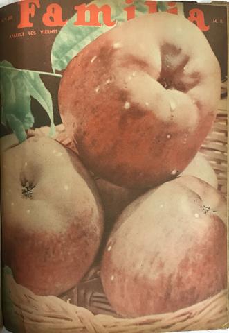 Primera imagen del registro Revista Familia. Año VI n°268