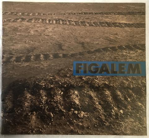 Primera imagen del registro Informe Figalem 1975. Version 1
