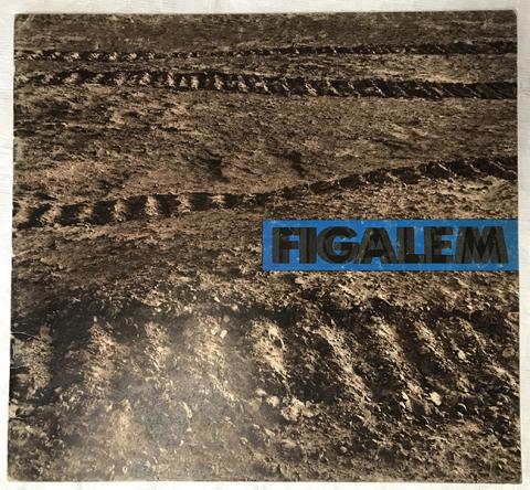 Primera imagen del registro Informe Figalem 1975. Version 2