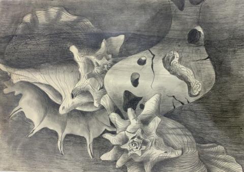 Primera imagen del registro Muscheln und huhnergott