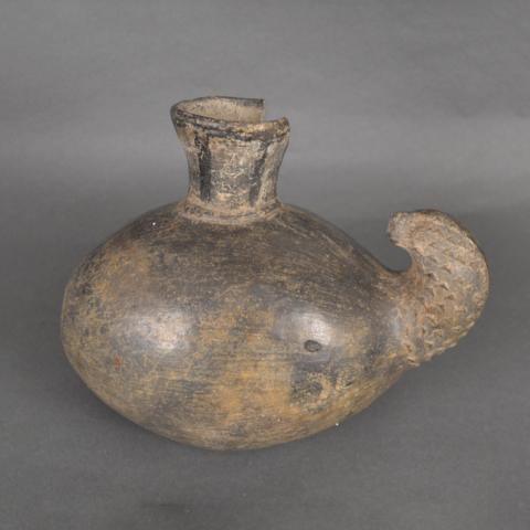 Primera imagen del registro Botella (arqueológica y etnográfica)