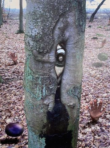 Primera imagen del registro Root hands