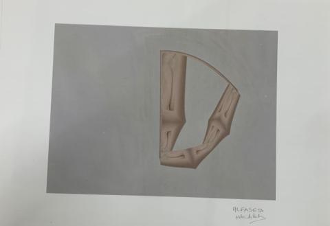 Primera imagen del registro Alfaseta