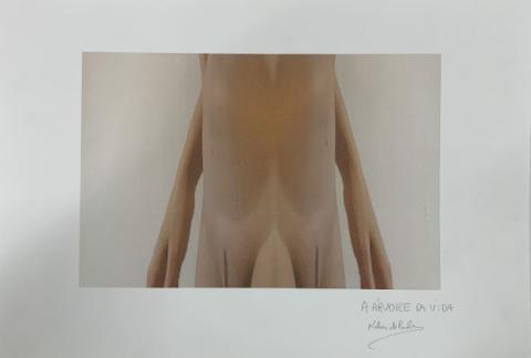 Primera imagen del registro A árvore da vida