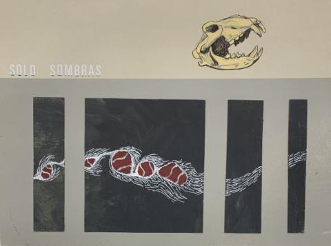 Primera imagen del registro Sólo sombras