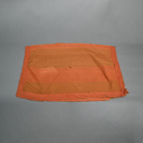 Primera imagen del registro Poncho
