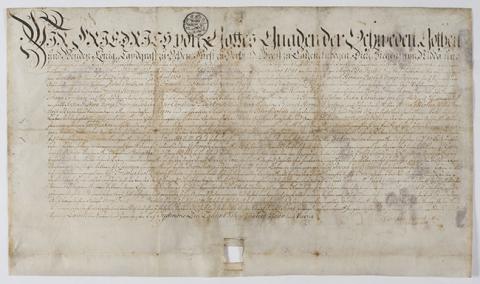 Primera imagen del registro Título de dominio de George Friederich
