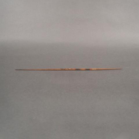 Primera imagen del registro Dardo