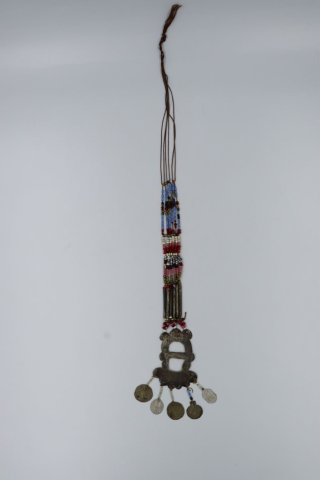Primera imagen del registro Pectoral