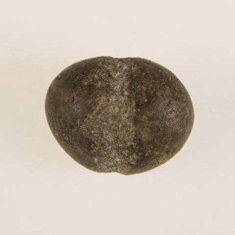 Primera imagen del registro Pesa de red