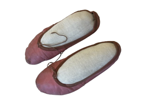 Primera imagen del registro Zapatilla de ballet