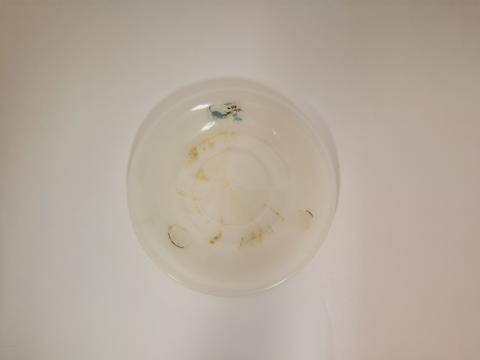Primera imagen del registro Plato de cremopal