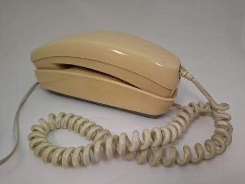 Primera imagen del registro Teléfono