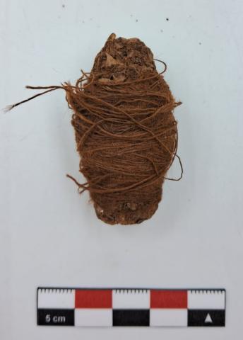 Primera imagen del registro Coronta maíz