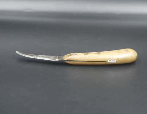 Primera imagen del registro Cuchillo