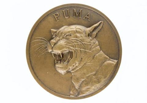 Primera imagen del registro Puma