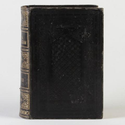 Primera imagen del registro The Practical Home Physician