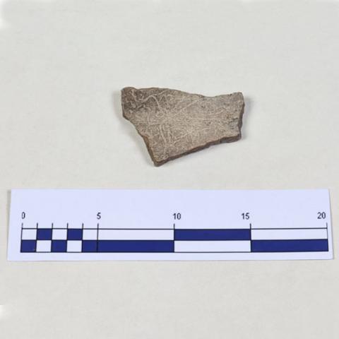 Equipo de registro MRM Equipo de registro MRM