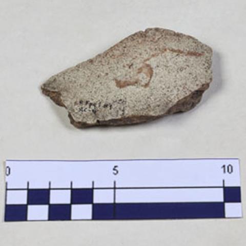 Equipo de registro MRM Equipo de registro MRM