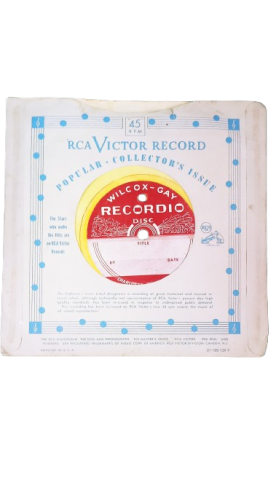 Primera imagen del registro Disco (fonográfico)