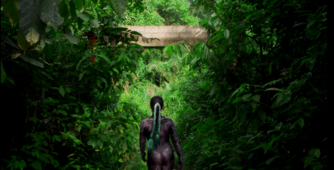 Primera imagen del registro Matrix vegetal. Ethnobotanical shrine install