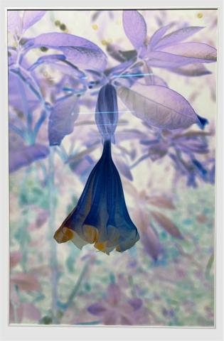 Equipo MNBA Equipo MNBA