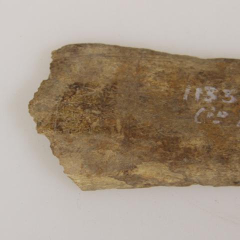 Luis Felipe Mansilla Mánquez